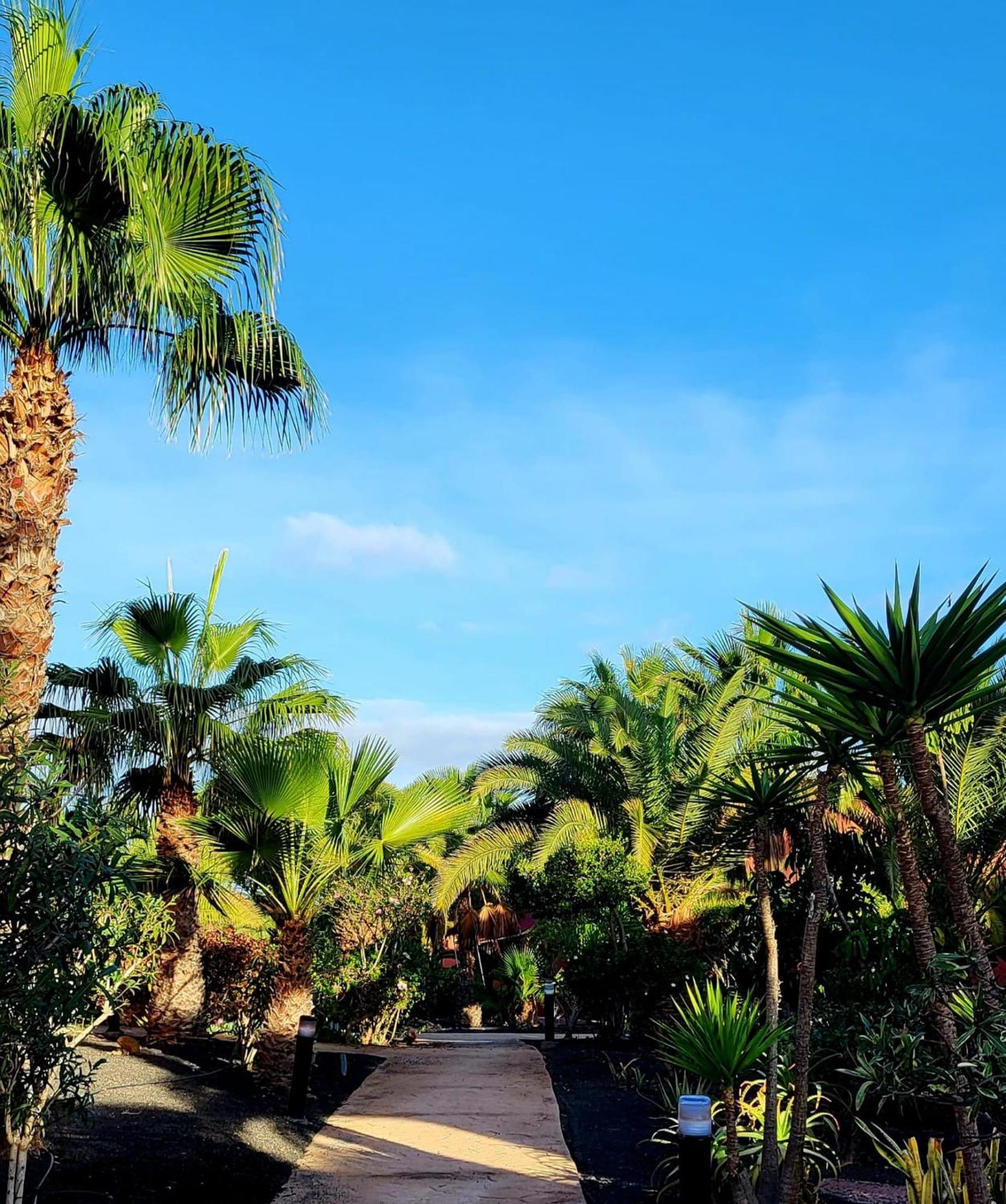 Casa Catherine Oasis Tamarindo Appartamento Corralejo